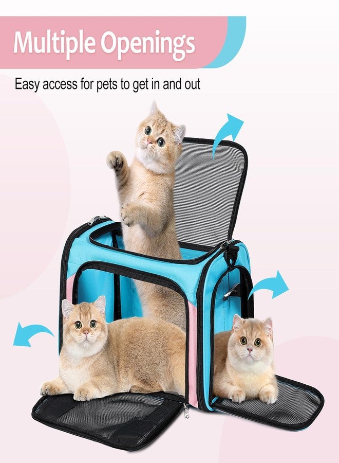 Discala Cat Dog Carrier Up to 15 Lbs TSA Airline Approved Pet Carrier for Small Medium Cats Puppies Dog Carriers for Small Dogs Collapsible Soft Sided Cat Travel Carrier - Blue&Pink 17"x11"x11" - Image 4